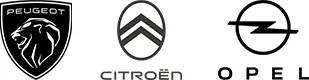 Vendita auto Peugeot, Citroen, Opel